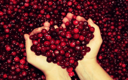 582117 (a): :2560x1600